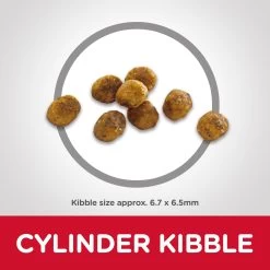 Hill's® Science Diet® Adult Senior 7+ Dry Cat Food - Chicken -Catit Store 1021440 alt2