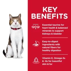 Hill's® Science Diet® Adult Senior 7+ Dry Cat Food - Chicken -Catit Store 1021440 alt4