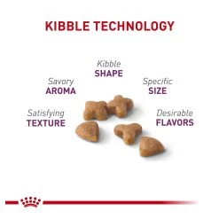 Royal Canin® Feline Health Nutrition Sensitive Digestion Adult Dry Cat Food 14 Royal Canin® Feline Health Nutrition Sensitive Digestion Adult Dry Cat Food -Catit Store 5070438 alt2