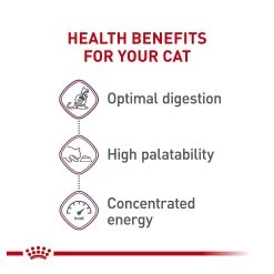 Royal Canin® Feline Health Nutrition Sensitive Digestion Adult Dry Cat Food 15 Royal Canin® Feline Health Nutrition Sensitive Digestion Adult Dry Cat Food -Catit Store 5070438 alt3