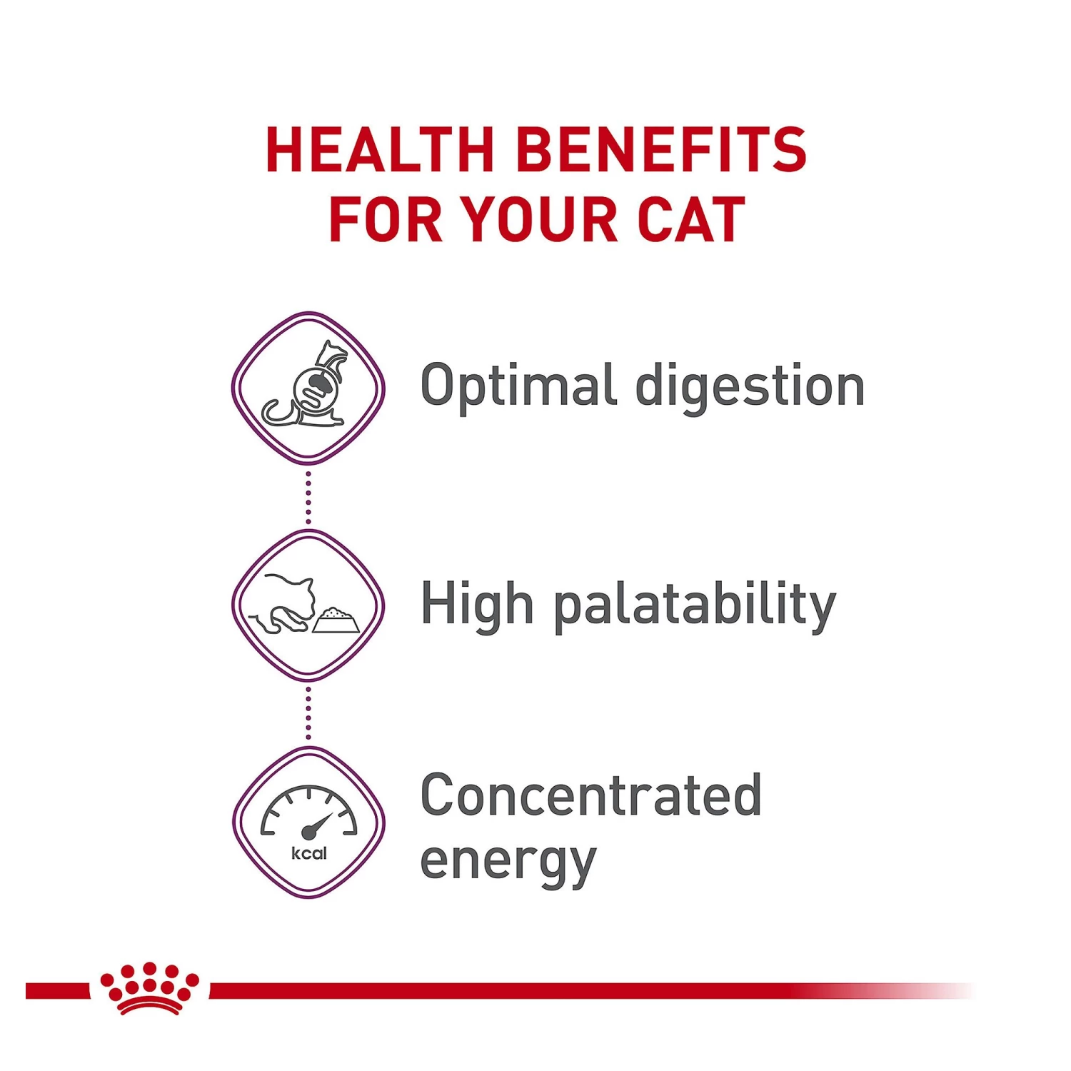 Royal Canin® Feline Health Nutrition Sensitive Digestion Adult Dry Cat Food 6 Royal Canin® Feline Health Nutrition Sensitive Digestion Adult Dry Cat Food - Image 4