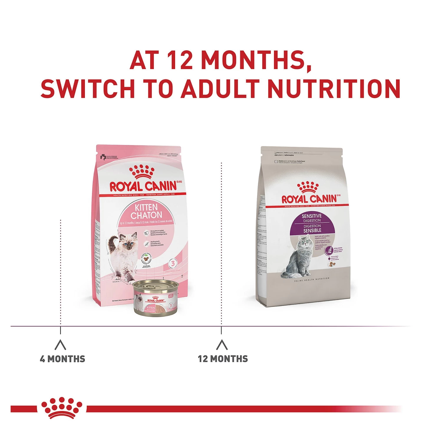 Royal Canin® Feline Health Nutrition Sensitive Digestion Adult Dry Cat Food 7 Royal Canin® Feline Health Nutrition Sensitive Digestion Adult Dry Cat Food - Image 5