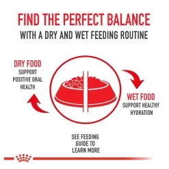 Royal Canin® Feline Health Nutrition Sensitive Digestion Adult Dry Cat Food 20 Royal Canin® Feline Health Nutrition Sensitive Digestion Adult Dry Cat Food -Catit Store 5070438 alt8