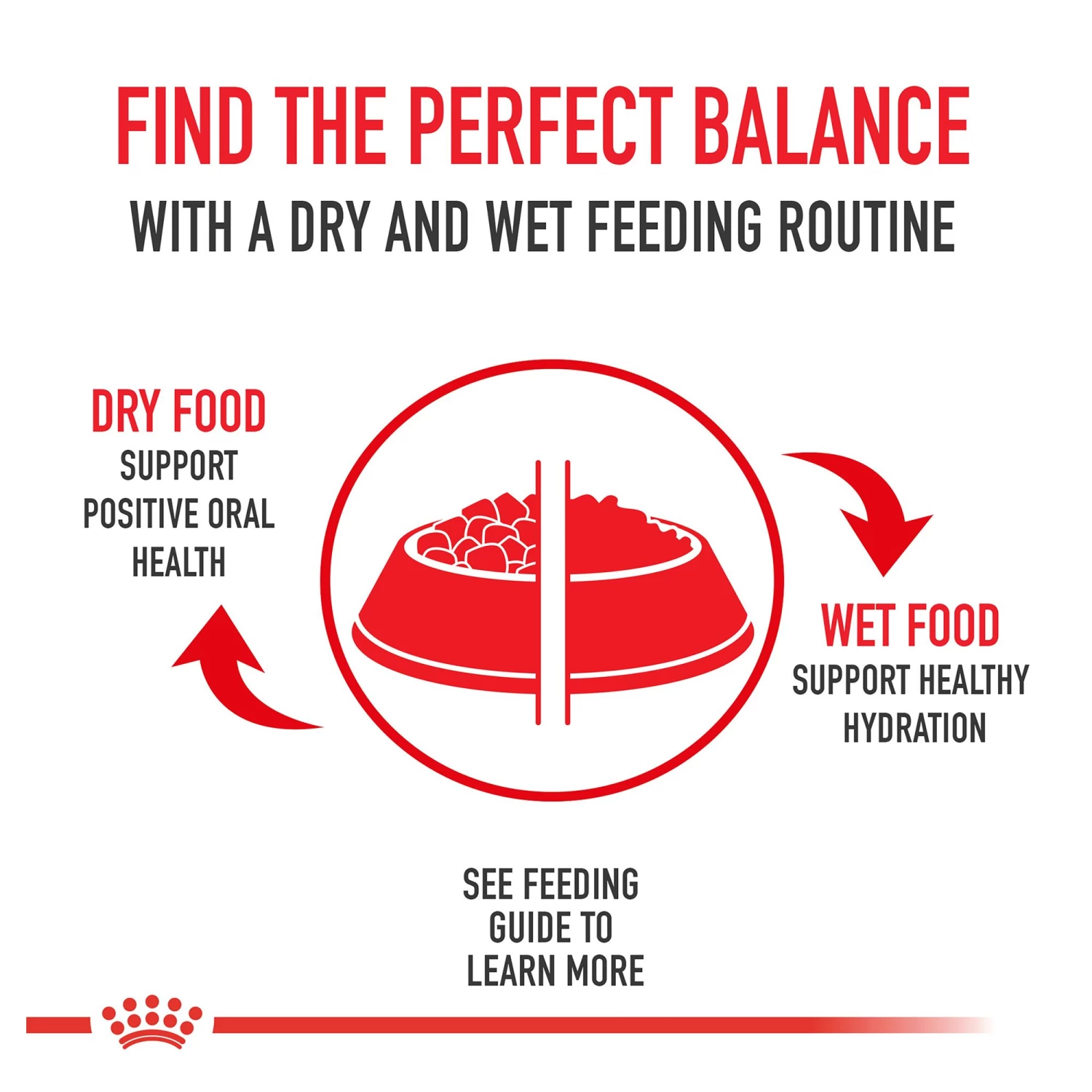 Royal Canin® Feline Health Nutrition Sensitive Digestion Adult Dry Cat Food 11 Royal Canin® Feline Health Nutrition Sensitive Digestion Adult Dry Cat Food - Image 9