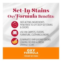 Nature's Miracle® Just For Cats Oxy Formula Dual Action Stain & Odor Remover -Catit Store 5108708 alt4