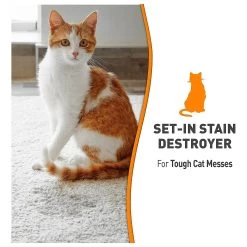 Nature's Miracle® Just For Cats Oxy Formula Dual Action Stain & Odor Remover -Catit Store 5108708 alt5