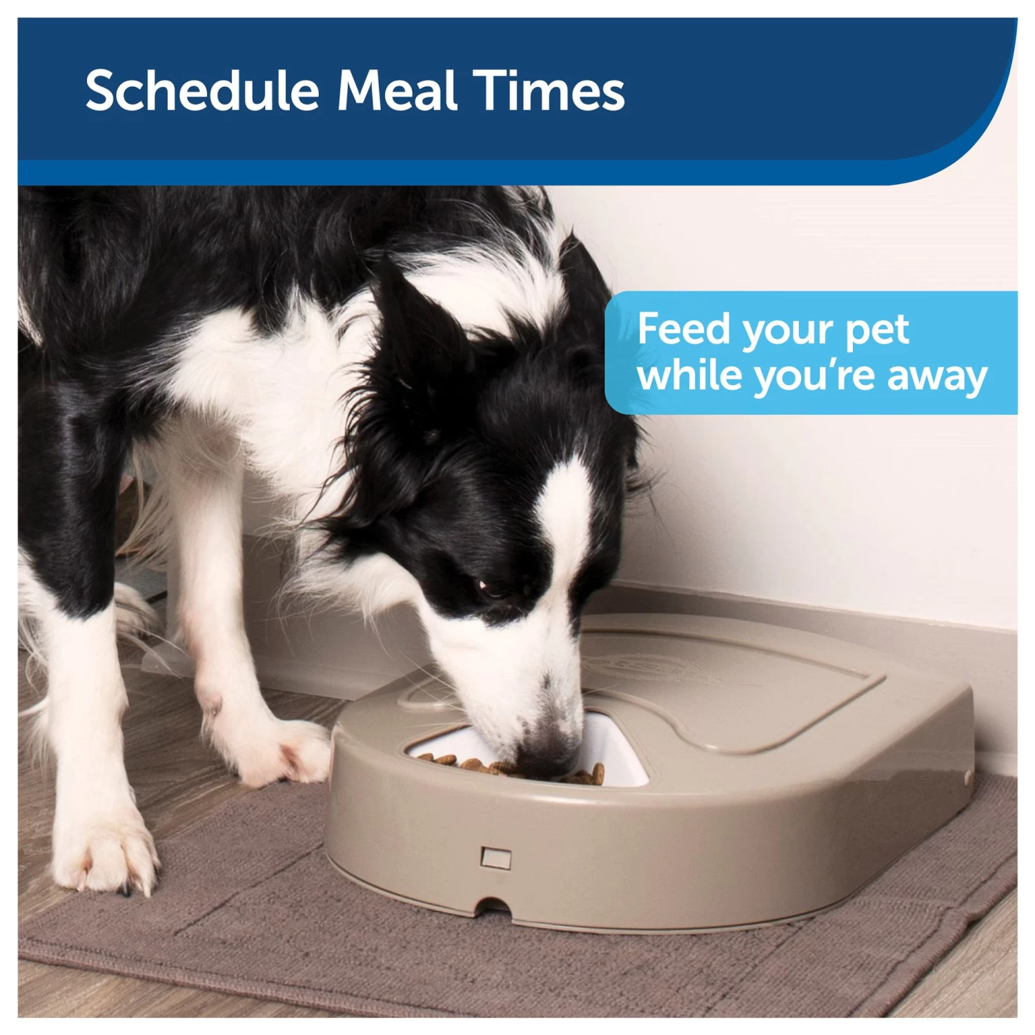 PetSafe® Eatwell™ 5 Meal Automatic Pet Feeder 4 PetSafe® Eatwell™ 5 Meal Automatic Pet Feeder - Image 2