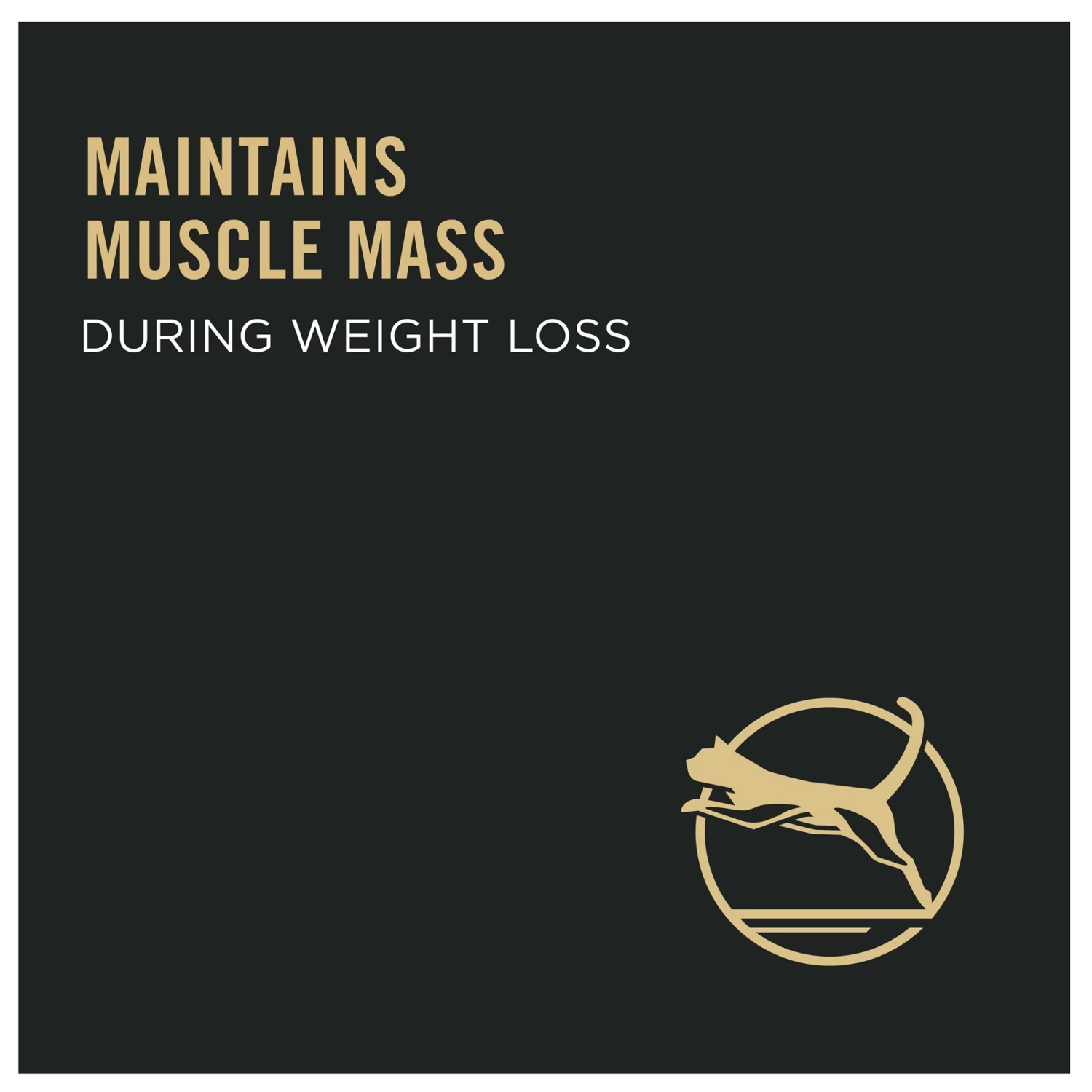 Purina Pro Plan Specialized Adult Dry Cat Food - Low Calorie, No Artificial Colors, Chicken & Rice 6 Purina Pro Plan Specialized Adult Dry Cat Food - Low Calorie, No Artificial Colors, Chicken & Rice - Image 4