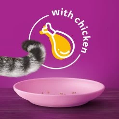 WHISKAS® Indoor Cat Food 12 WHISKAS® Indoor Cat Food -Catit Store 5173341 alt2