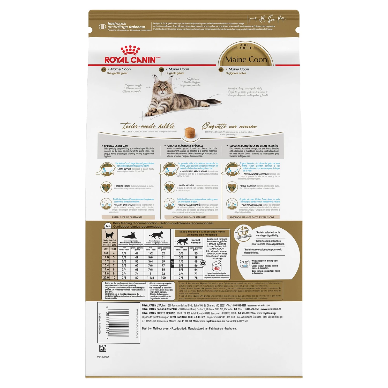 Royal Canin® Feline Breed Nutrition Maine Coon Breed Adult Dry Cat Food 4 Royal Canin® Feline Breed Nutrition Maine Coon Breed Adult Dry Cat Food - Image 2