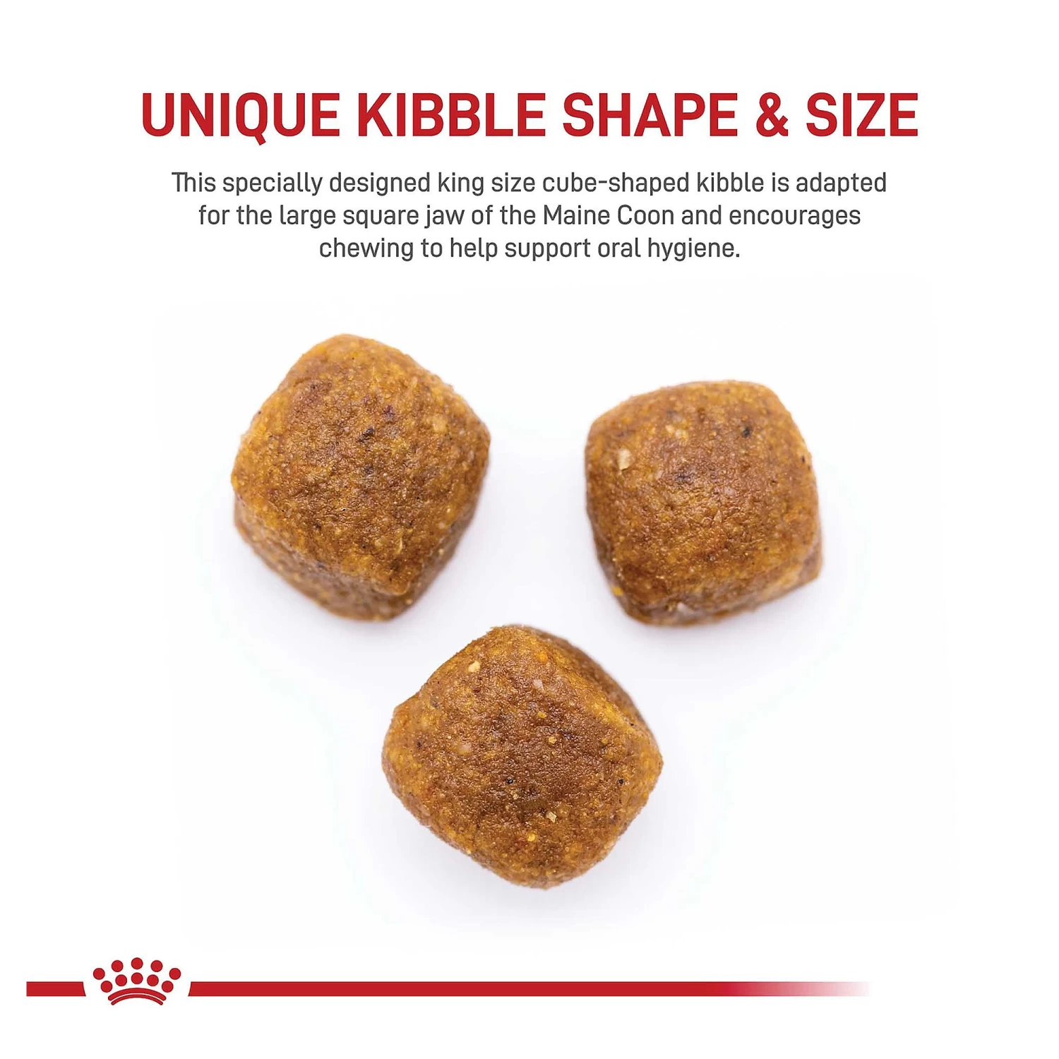 Royal Canin® Feline Breed Nutrition Maine Coon Breed Adult Dry Cat Food 5 Royal Canin® Feline Breed Nutrition Maine Coon Breed Adult Dry Cat Food - Image 3