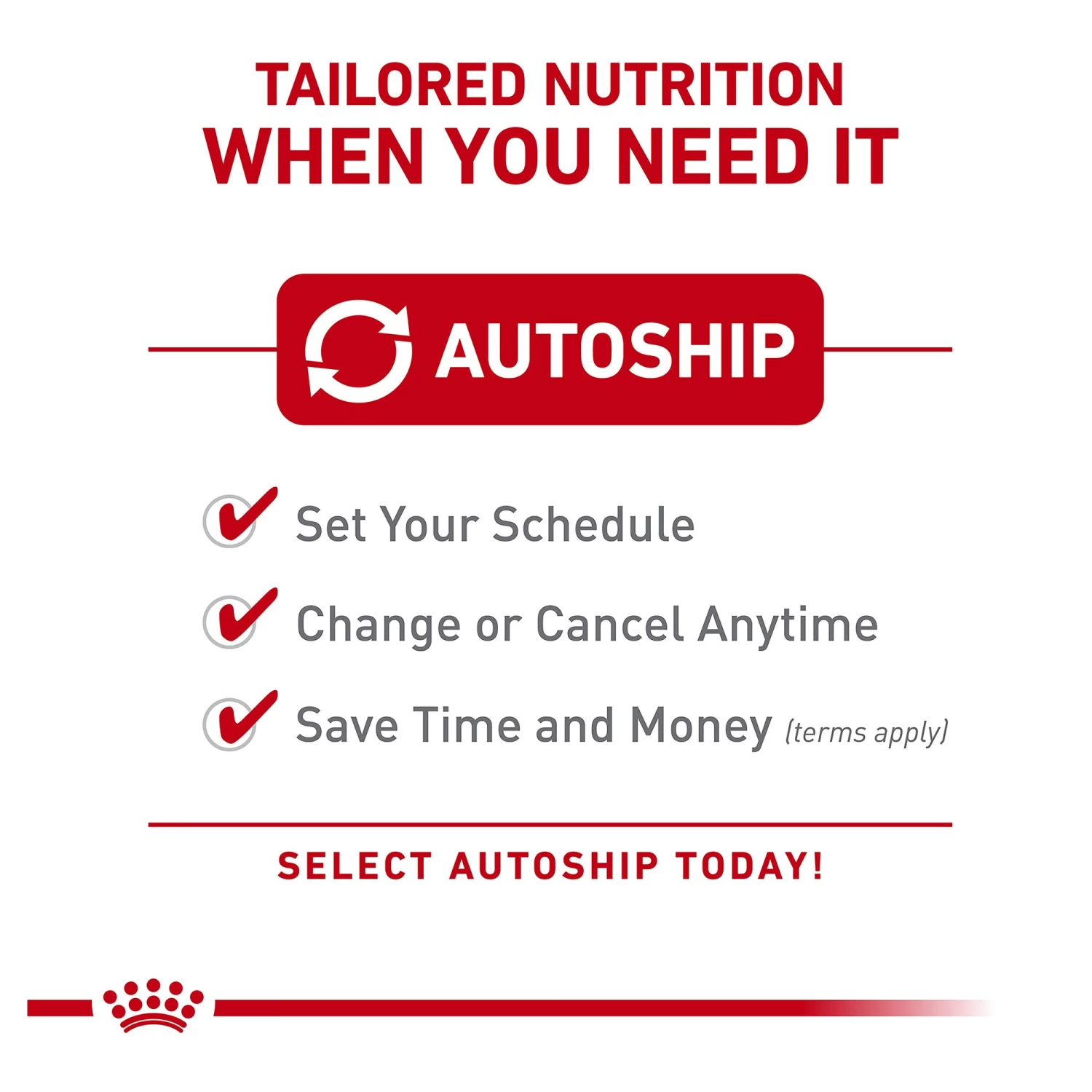 Royal Canin® Feline Breed Nutrition Maine Coon Breed Adult Dry Cat Food 9 Royal Canin® Feline Breed Nutrition Maine Coon Breed Adult Dry Cat Food - Image 7