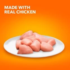 IAMS™ Proactive Health Kitten Dry Cat Food - Healthy Development, Chicken -Catit Store 5246447 alt2