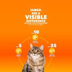 IAMS™ Proactive Health Kitten Dry Cat Food - Healthy Development, Chicken -Catit Store 5246447 alt3