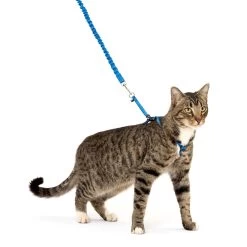 PetSafe® Come With Me Kitty Harness And Bungee Leash