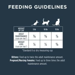 Instinct® Raw Boost Indoor Health All Life Stage Dry Cat Food - Chicken -Catit Store 5265650 alt4