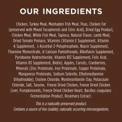 Instinct® Original Kitten Food - Natural, Grain Free, Chicken 9 Instinct® Original Kitten Food - Natural, Grain Free, Chicken -Catit Store 5265766 alt2