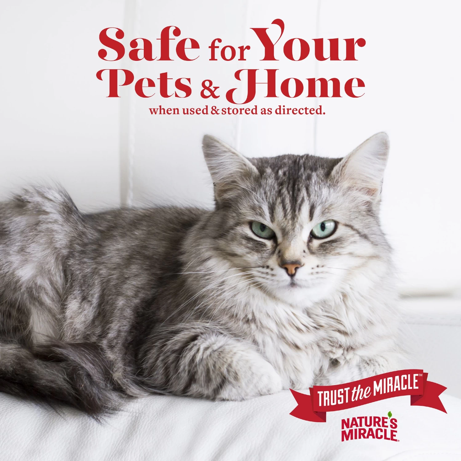 Nature's Miracle® Just For Cats Urine Destroyer Foam 7 Nature's Miracle® Just For Cats Urine Destroyer Foam - Image 5