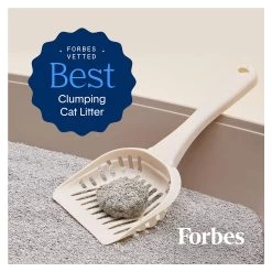 Boxiecat Extra Strength Clumping Multi-Cat Clay Cat Litter - Unscented, Low Dust, Low Tracking -Catit Store 5274932 alt3