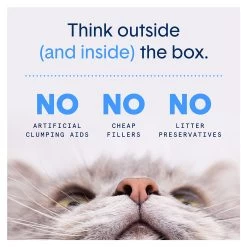 Boxiecat Extra Strength Clumping Multi-Cat Clay Cat Litter - Unscented, Low Dust, Low Tracking -Catit Store 5274932 alt4