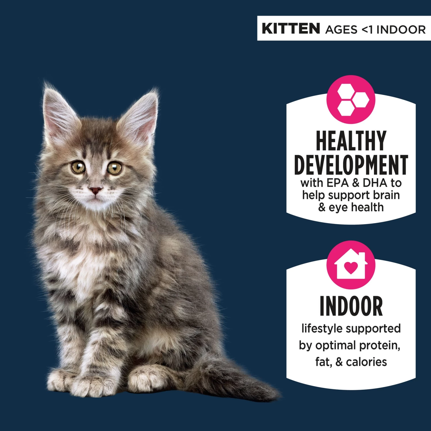 Authority® Everyday Health Indoor Kitten Cat Dry Food - Chicken & Rice, With-Grain 4 Authority® Everyday Health Indoor Kitten Cat Dry Food - Chicken & Rice, With-Grain - Image 2