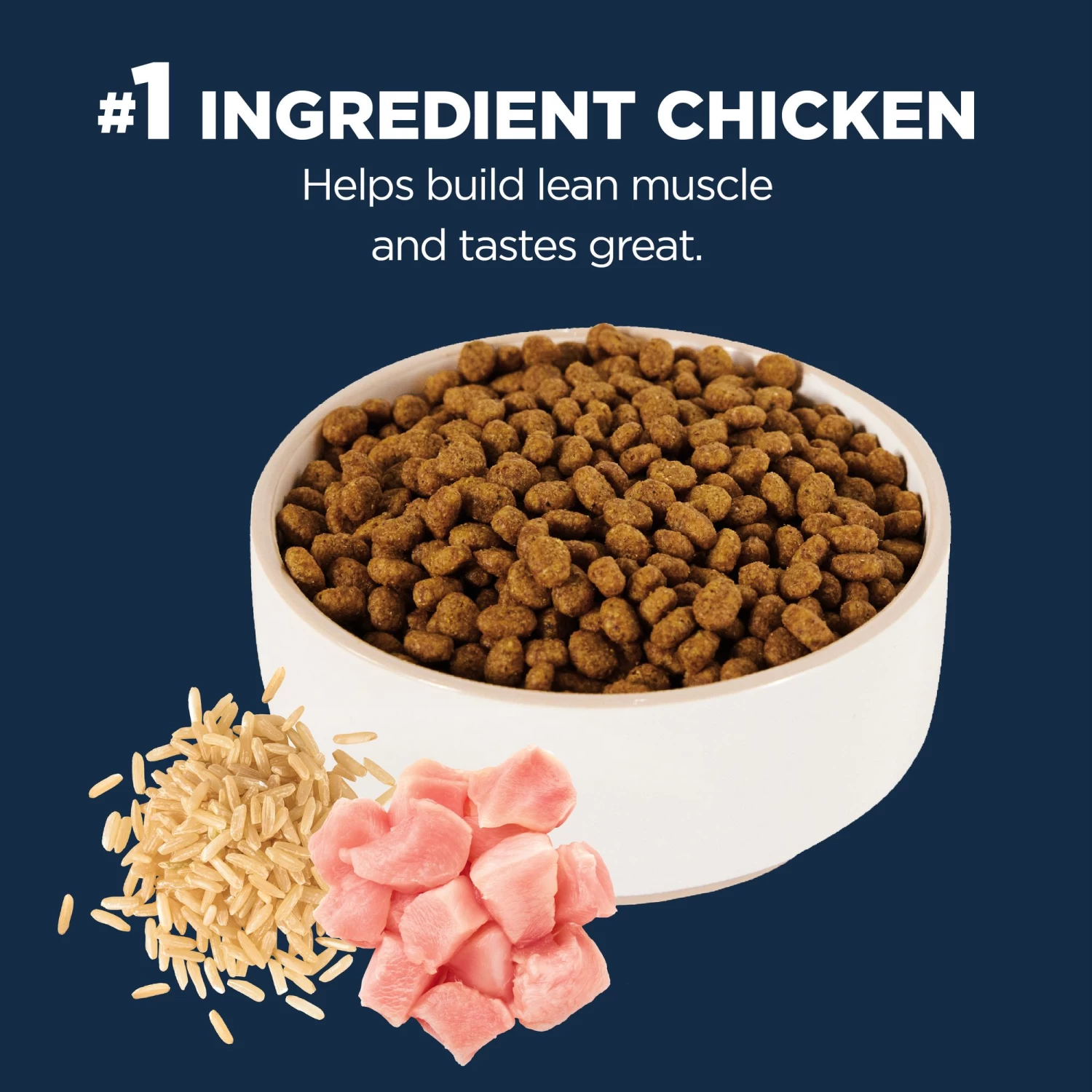 Authority® Everyday Health Indoor Kitten Cat Dry Food - Chicken & Rice, With-Grain 5 Authority® Everyday Health Indoor Kitten Cat Dry Food - Chicken & Rice, With-Grain - Image 3