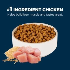 Authority® Everyday Health Adult Dry Cat Food - Chicken & Rice, With-Grain -Catit Store 5279216 alt2
