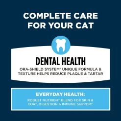 Authority® Everyday Health Adult Dry Cat Food - Chicken & Rice, With-Grain -Catit Store 5279216 alt3