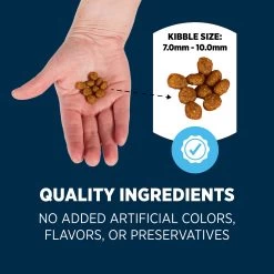 Authority® Everyday Health Adult Dry Cat Food - Chicken & Rice, With-Grain -Catit Store 5279216 alt4