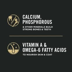 Purina Pro Plan Complete Essentials Kitten Dry Cat Food - High-Protein, Chicken & Rice -Catit Store 5279623 alt5