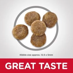 Hill's® Science Diet® Sensitive Stomach & Skin Adult Dry Cat Food - Grain Free, Salmon -Catit Store 5286624 alt2