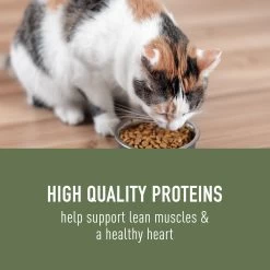 Simply Nourish® Original Cat Dry Food - Salmon & Peas, Natural, Grain Free -Catit Store 5286917 alt2