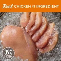 Simply Nourish® Source Indoor Cat Dry Food - Chicken, Natural, High-Protein, Grain Free 5 Simply Nourish® Source Indoor Cat Dry Food - Chicken, Natural, High-Protein, Grain Free -Catit Store 5286919 alt1