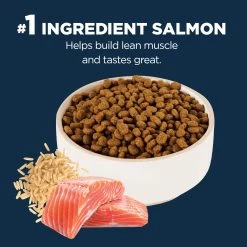 Authority® Everyday Health Indoor Kitten Cat Dry Food - Salmon & Rice, With-Grain -Catit Store 5287611 alt2