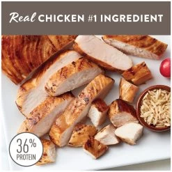 Simply Nourish® Original Cat Dry Food - Chicken & Brown Rice, Natural, With-Grain -Catit Store 5287616 alt1