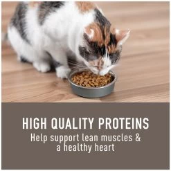 Simply Nourish® Original Cat Dry Food - Chicken & Brown Rice, Natural, With-Grain -Catit Store 5287616 alt2