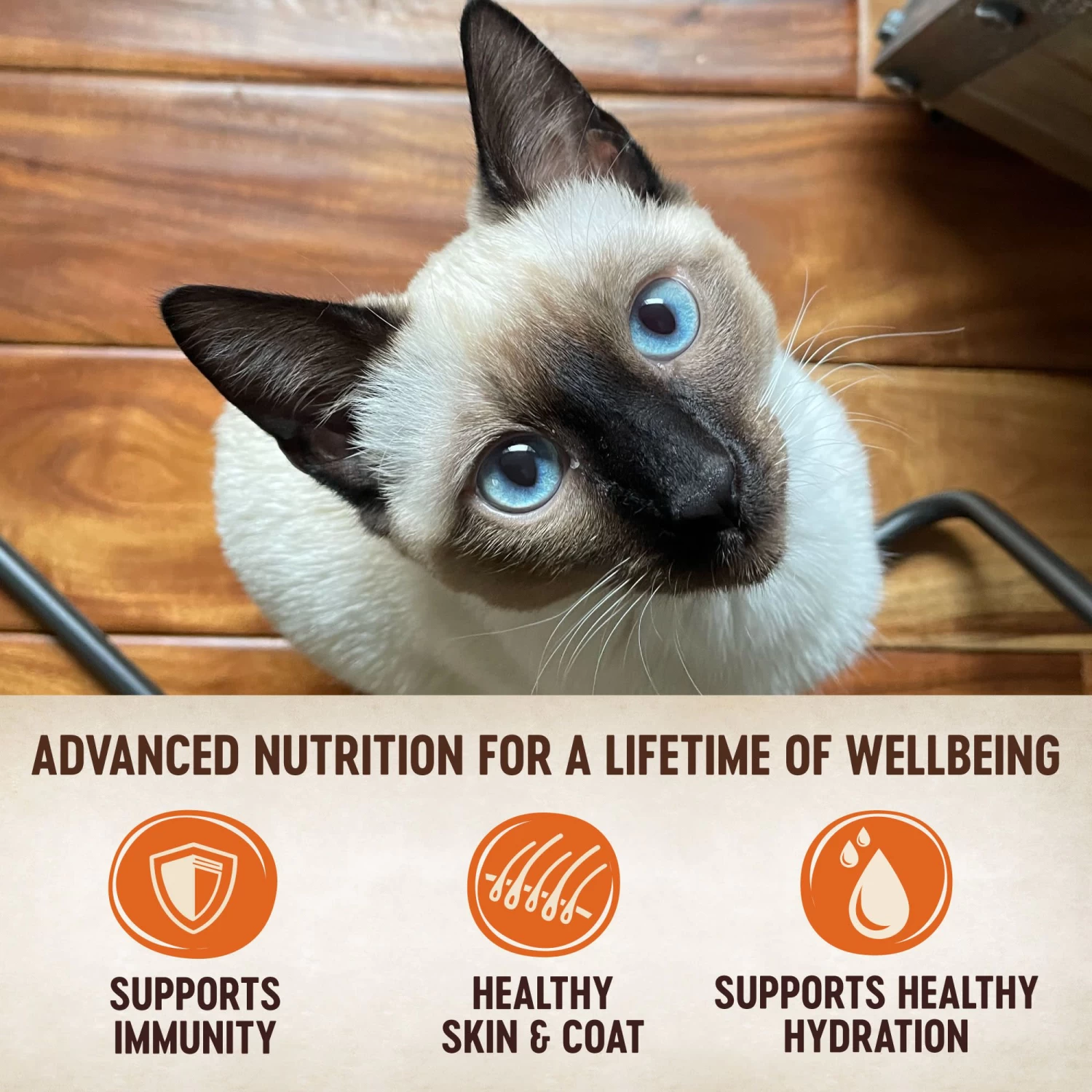 Wellness® CORE® Tiny Tasters Wet Cat Food Variety Pack - Natural, Grain Free, Sea Variety 7 Wellness® CORE® Tiny Tasters Wet Cat Food Variety Pack - Natural, Grain Free, Sea Variety - Image 5