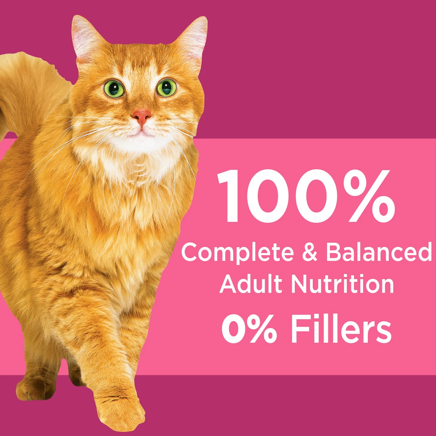 Iams® ProActive Health™ Urinary Tract Health Adult Cat Food 7 Iams® ProActive Health™ Urinary Tract Health Adult Cat Food - Image 5