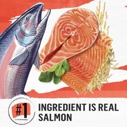 Purina® Beyond® Simply Dry Cat Food - Salmon & Whole Brown Rice Recipe 11 Purina® Beyond® Simply Dry Cat Food - Salmon & Whole Brown Rice Recipe -Catit Store 5289961 alt2