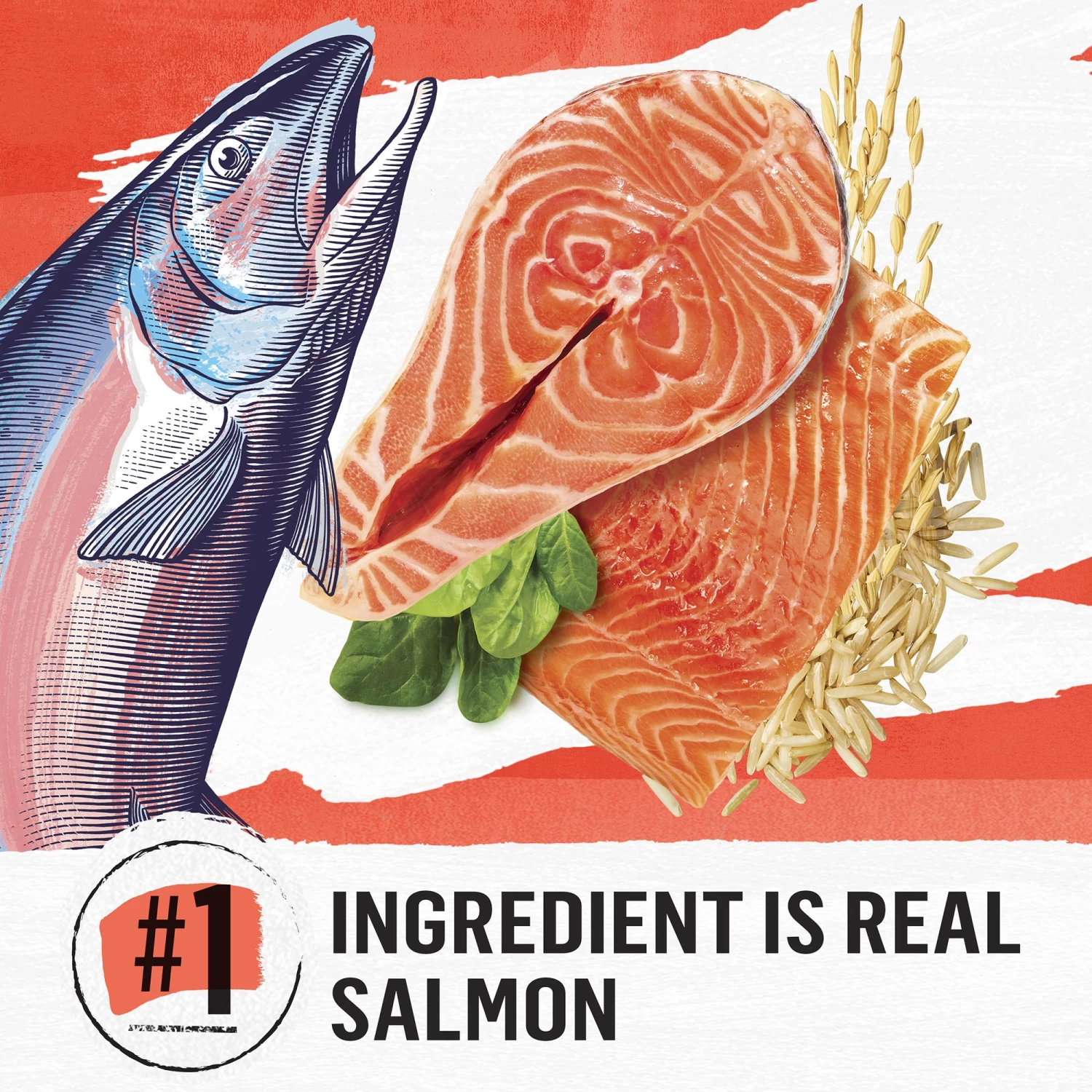 Purina® Beyond® Simply Dry Cat Food - Salmon & Whole Brown Rice Recipe 5 Purina® Beyond® Simply Dry Cat Food - Salmon & Whole Brown Rice Recipe - Image 3