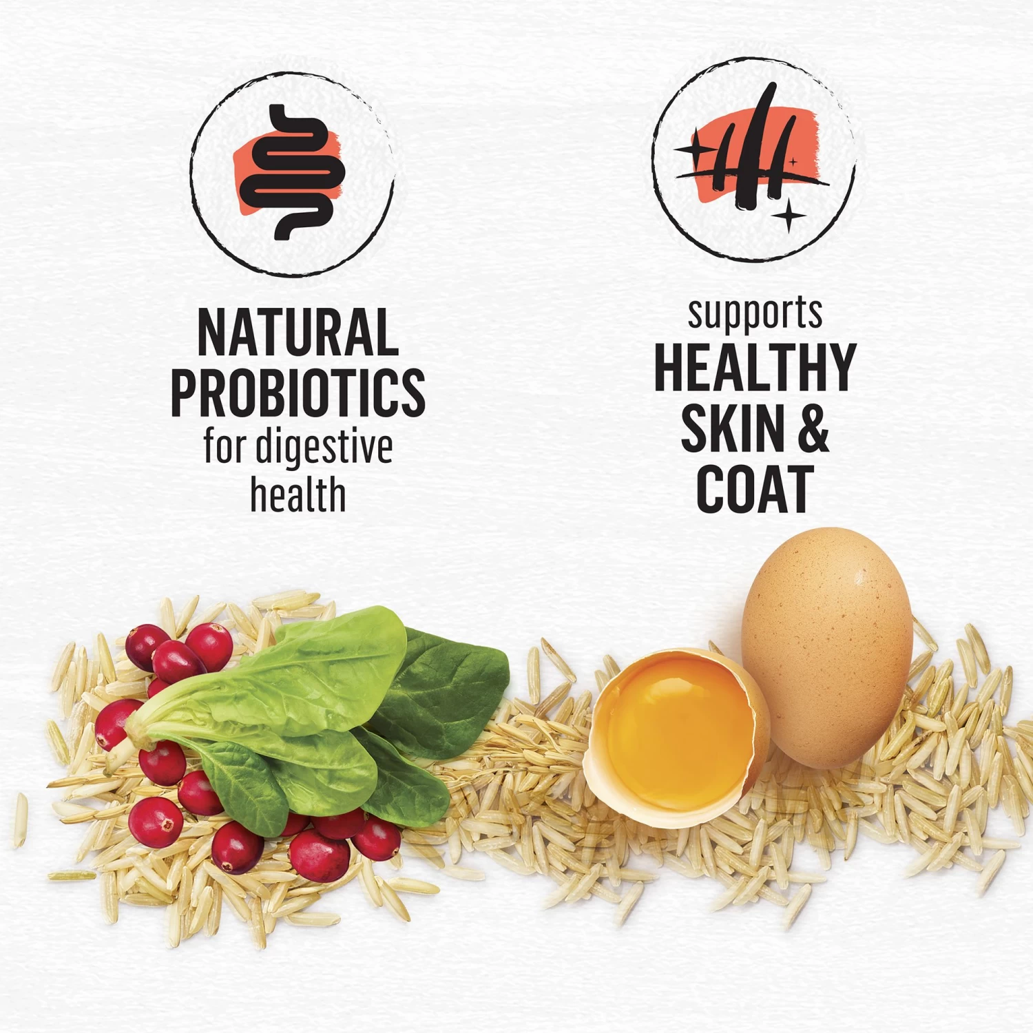 Purina® Beyond® Simply Dry Cat Food - Salmon & Whole Brown Rice Recipe 6 Purina® Beyond® Simply Dry Cat Food - Salmon & Whole Brown Rice Recipe - Image 4