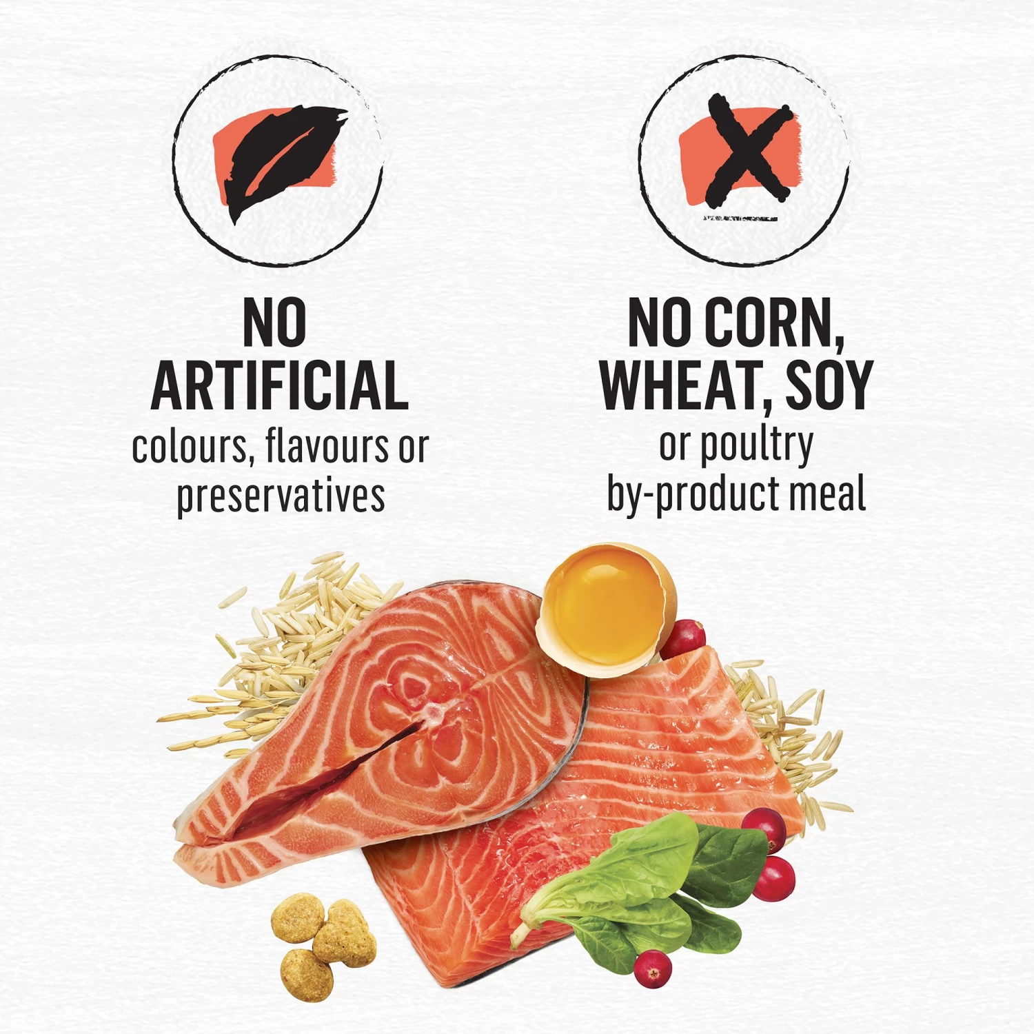 Purina® Beyond® Simply Dry Cat Food - Salmon & Whole Brown Rice Recipe 8 Purina® Beyond® Simply Dry Cat Food - Salmon & Whole Brown Rice Recipe - Image 6