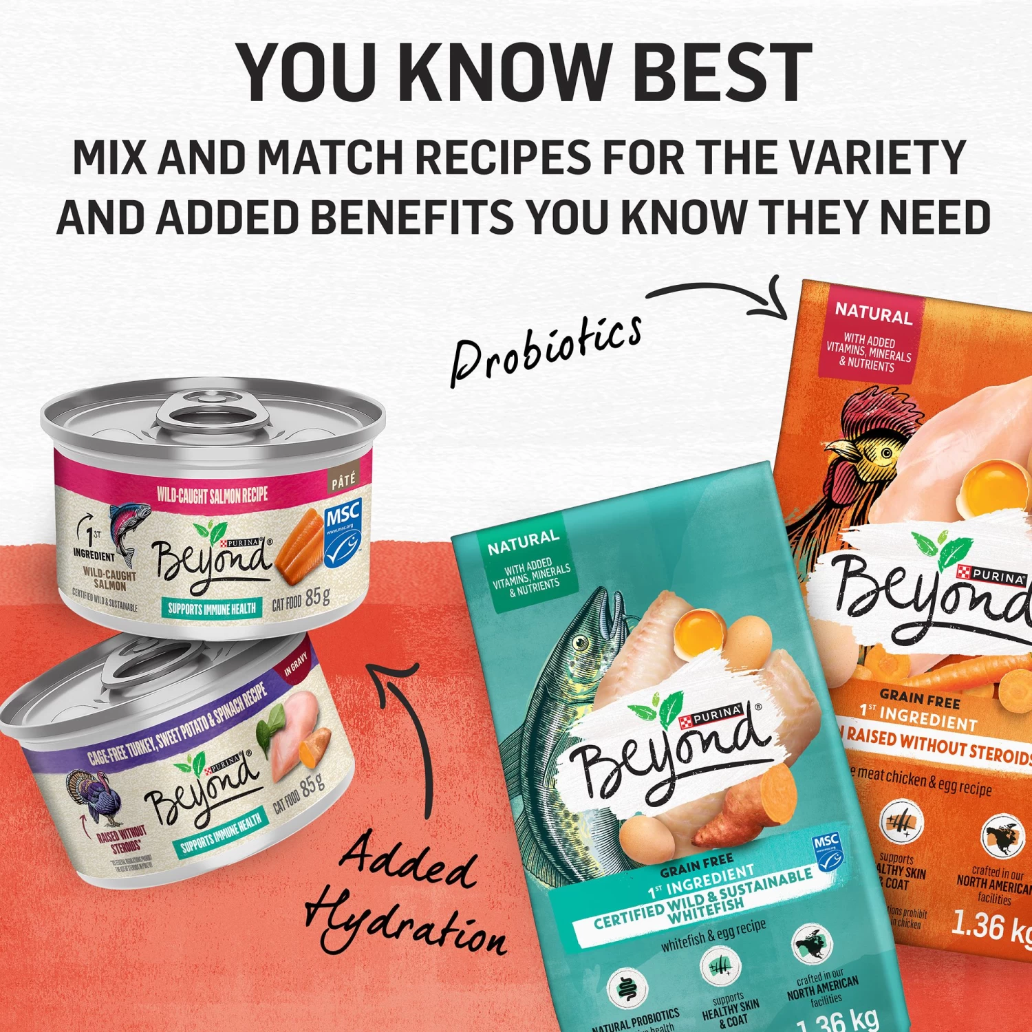 Purina® Beyond® Simply Dry Cat Food - Salmon & Whole Brown Rice Recipe 9 Purina® Beyond® Simply Dry Cat Food - Salmon & Whole Brown Rice Recipe - Image 7