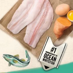 Purina® Beyond® Grain Free Dry Cat Food - Ocean Whitefish & Egg Recipe -Catit Store 5289962 alt1