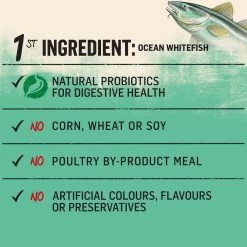 Purina® Beyond® Grain Free Dry Cat Food - Ocean Whitefish & Egg Recipe -Catit Store 5289962 alt2