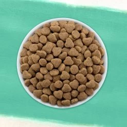 Purina® Beyond® Grain Free Dry Cat Food - Ocean Whitefish & Egg Recipe -Catit Store 5289962 alt4