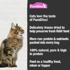 Purebites® Freeze Dried Cat Treat - Salmon -Catit Store 5289963 alt4