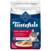 Blue Buffalo® Tastefuls&trade; Indoor Health Adult Dry Cat Food, Natural , Salmon & Brown Rice -Catit Store 5291426