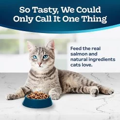 Blue Buffalo® Tastefuls&trade; Indoor Health Adult Dry Cat Food, Natural , Salmon & Brown Rice -Catit Store 5291426 alt2