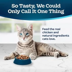 Blue Buffalo® Tastefuls&trade; Healthy Living Adult Dry Cat Food, Natural Chicken & Brown Rice -Catit Store 5291427 alt2